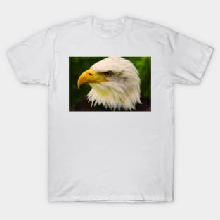 Bald Eagle (Vivid) T-Shirt